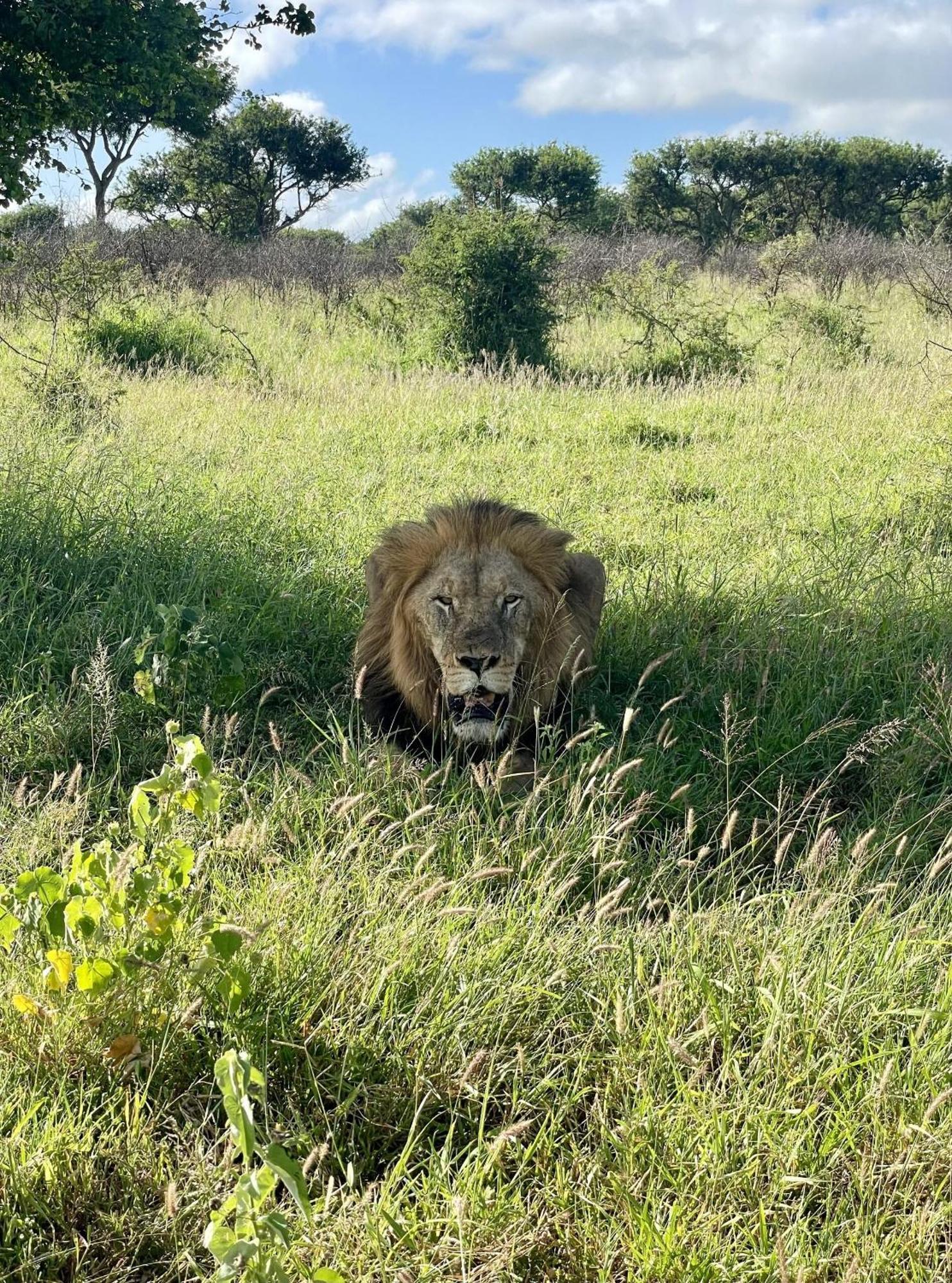 Rhino River Lodge Manyoni Private Game Reserve Exterior photo